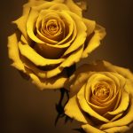 Unleashing the Creative Potential of AI Art: Redefining Writing